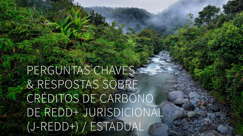 Programas Jurisdicionais de Carbono na Amazônia Legal