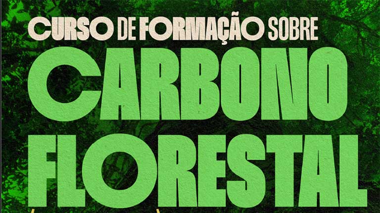 Curso de formação sobre Carbono Florestal em territórios de povos indígenas e Quilombolas