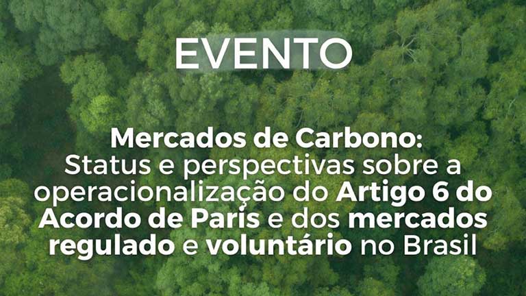 Mercados de Carbono: Status e perspectivas sobre a operacionalização do Artigo 6 do Acordo de Paris e os mercados regulado e voluntário no Brasil