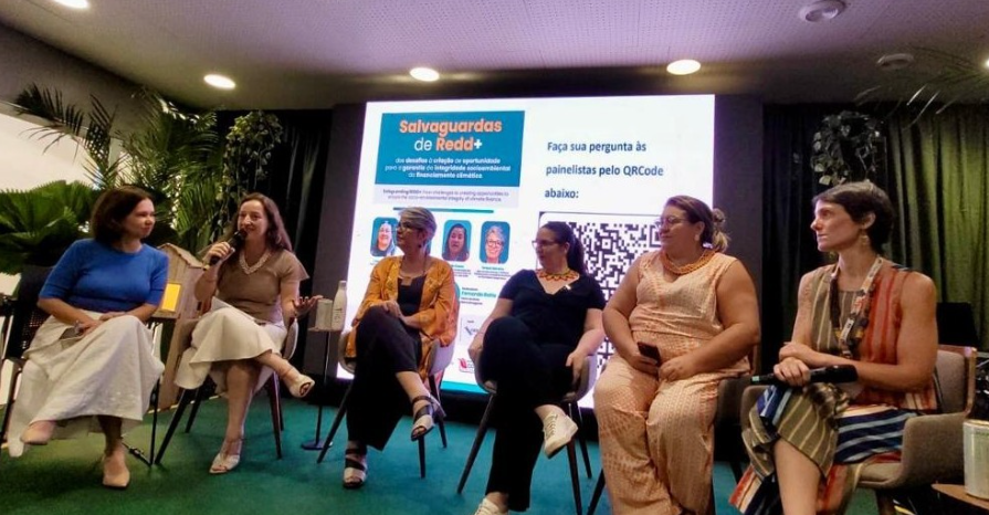 Painel “Salvaguardas de REDD+: dos desafios à criação de oportunidades para garantia da integridade socioambiental do financiamento climático” acontece na COP30 em Belém 